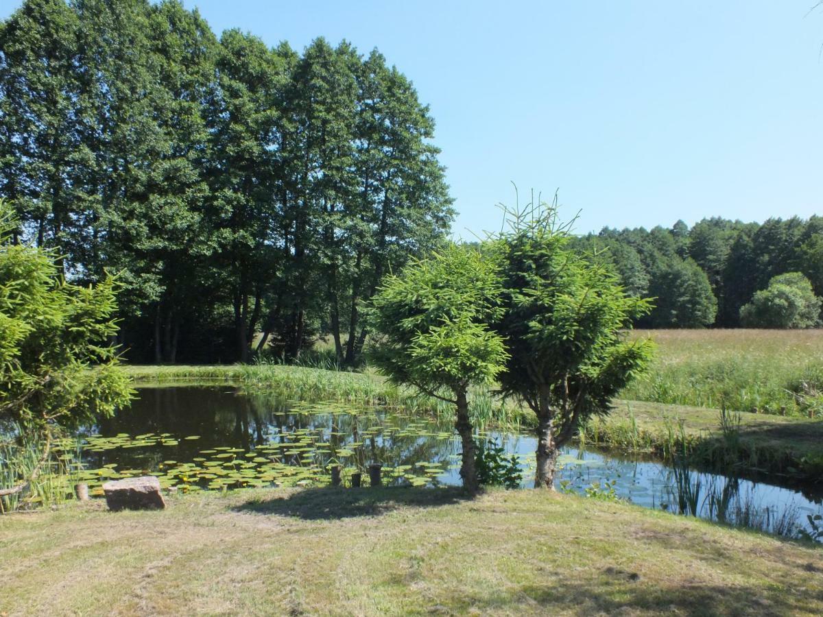 Villa Pod Orlem Wałcz Esterno foto